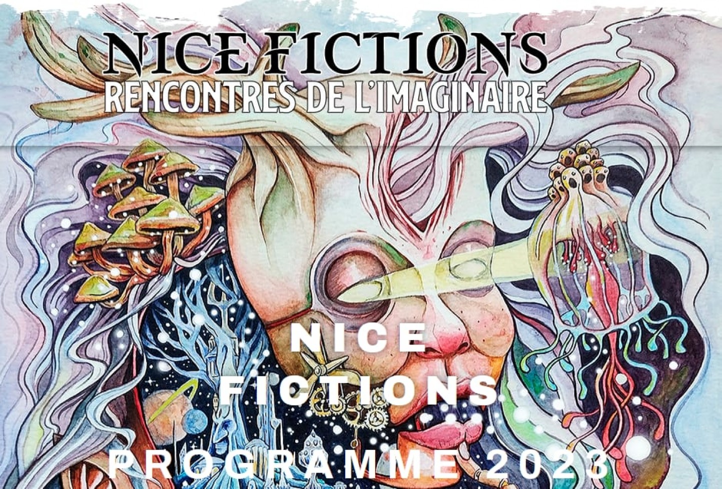 Nice Fictions