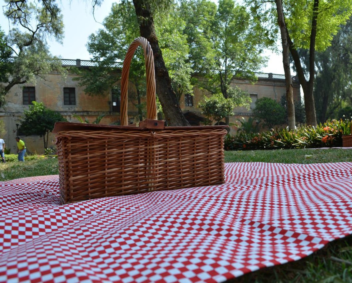 Pique-nique et Jeux au parc du Castel des 2 rois